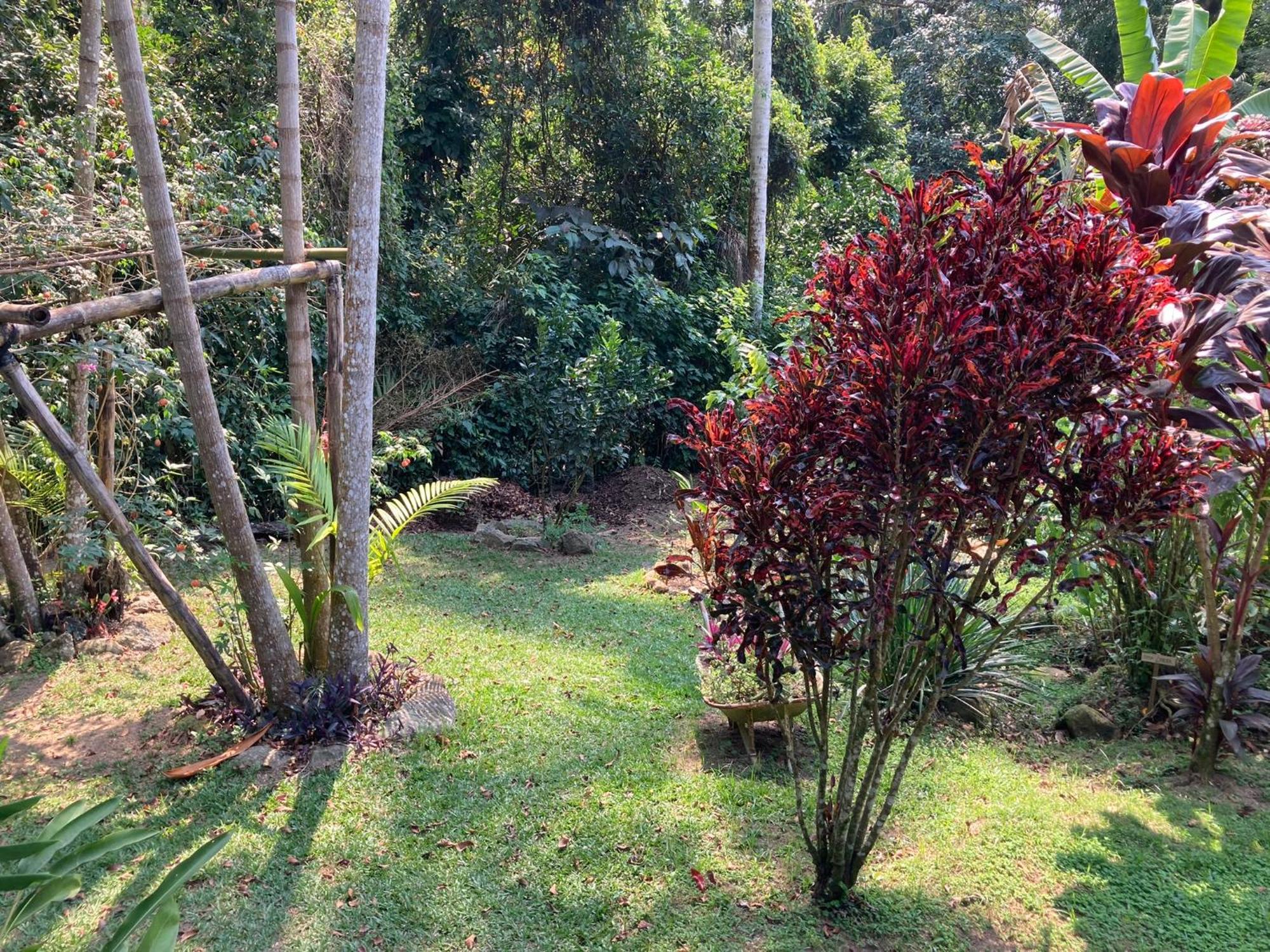 Casa Arariba - Ilha Grande - Ilha Grande Exterior foto